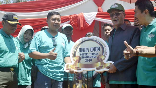 JUARA UMUM: Bupati KH. Salwa Arifin menyerahkan trofi juara umum Kontes Ternak Sapi Bondowoso 2019 pada Camat Tamanan Dwi Wahyudi. (ido)