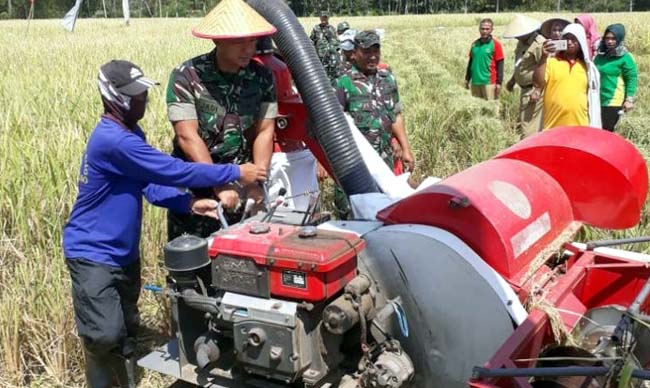 MESIN PANEN: Dandim 0822 Bondowoso, Letkol Inf. Jadi mencoba mesin panen padi saat panen raya di Desa Cindogo, Kecamatan Tapen