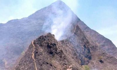 Terbakar Lagi, Hutan Lereng Gunung Argopuro