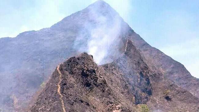 Terbakar Lagi, Hutan Lereng Gunung Argopuro