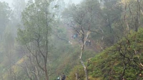 Terpisah dari Rombongan, Seorang Pendaki Kawah Ijen Dilaporkan Hilang