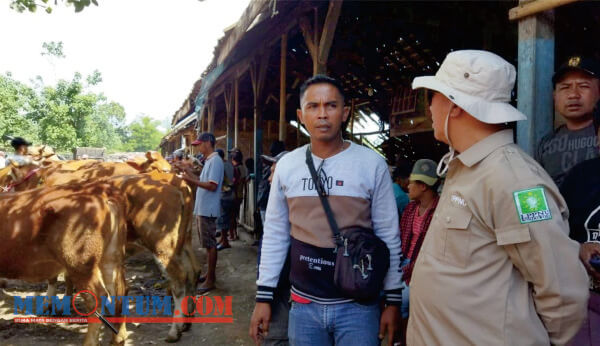 Pemkab Bondowoso Gelontorkan 5100 Vaksin untuk Tekan Penyebaran PMK